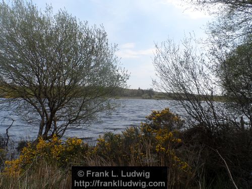 Lough Nasool
